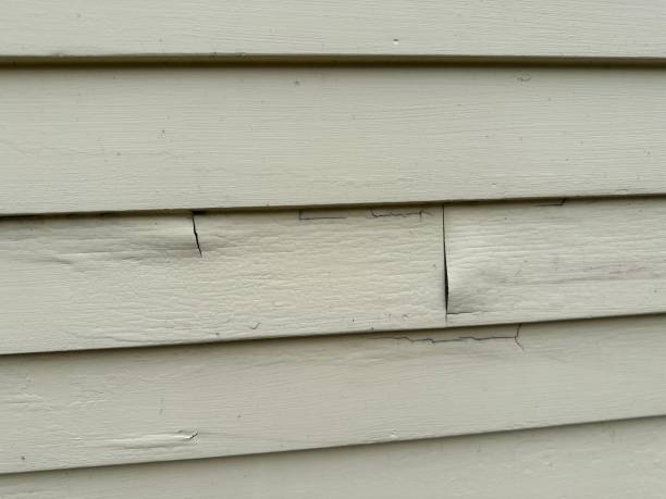 Best Brick Veneer Siding  in Belvedere, CA